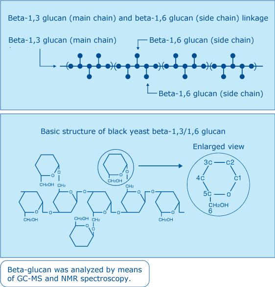 Structure of beta-glucan
